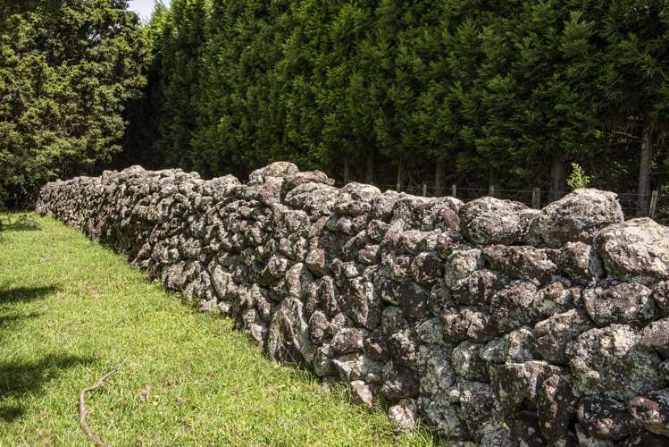 704a Ngunguru Road Glenbervie_10