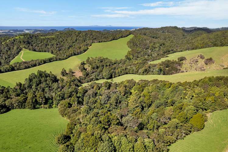 123 Waipipi Road Whananaki_28