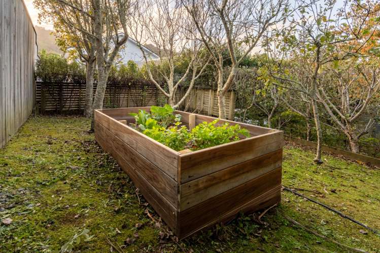 8 Lochiel Road Khandallah_12