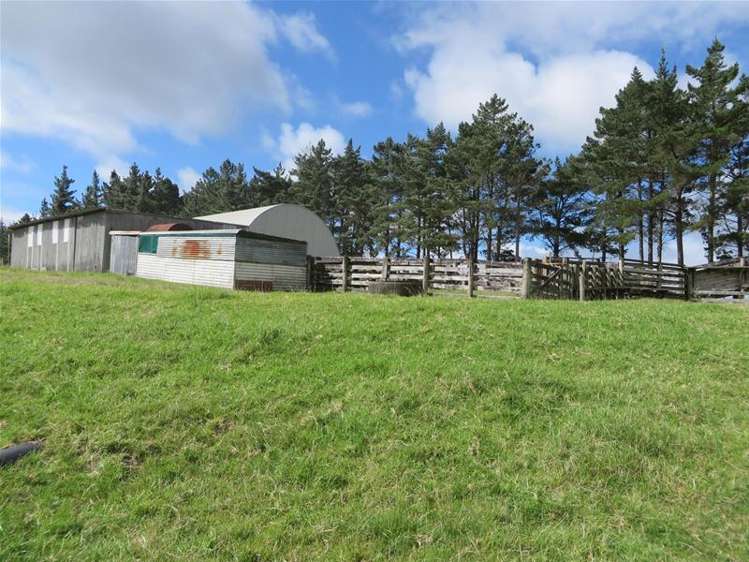 Ovens Road Matakohe_6