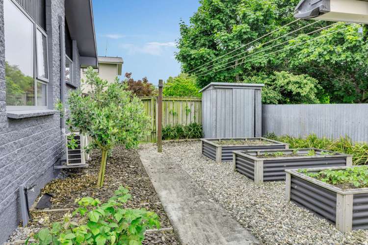 15 Vera Street Gore_32