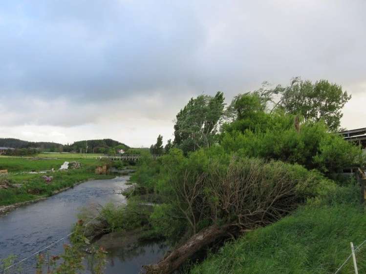 39 Brandon Hall Road Bulls_23