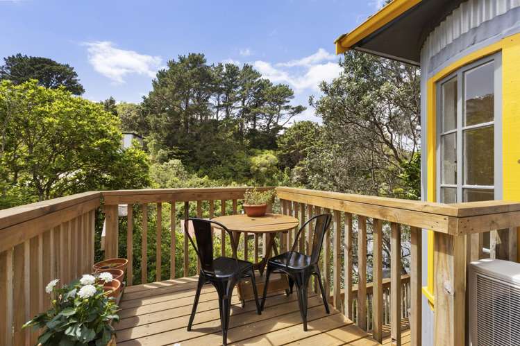 54 Liardet Street Vogeltown_1