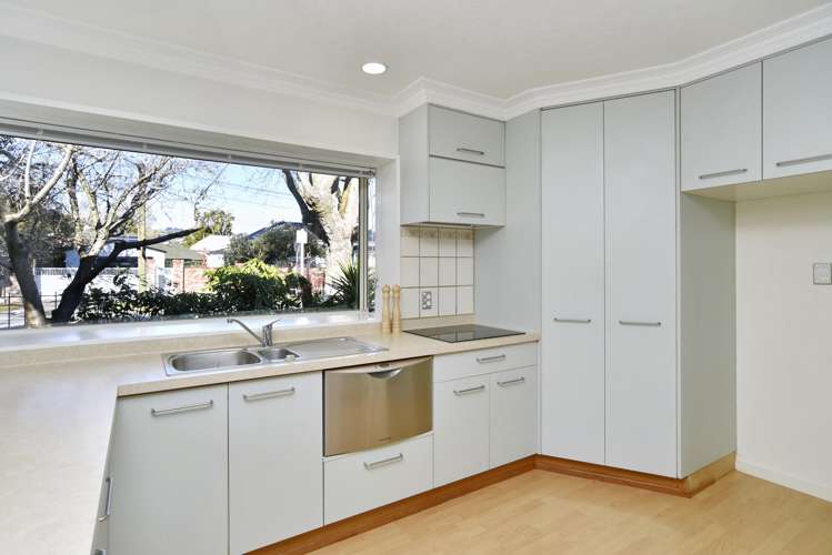 7 Fisher Avenue Sydenham_5