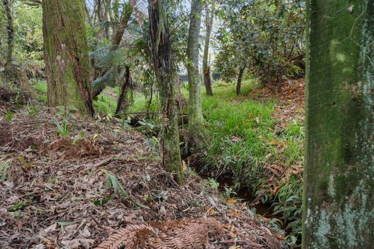 60a Celia Street Stratford_22