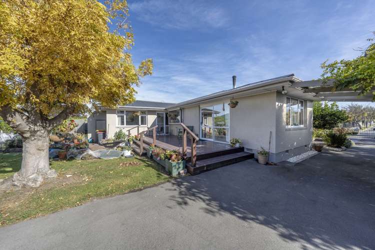 12 Rossiter Avenue Redwood_11
