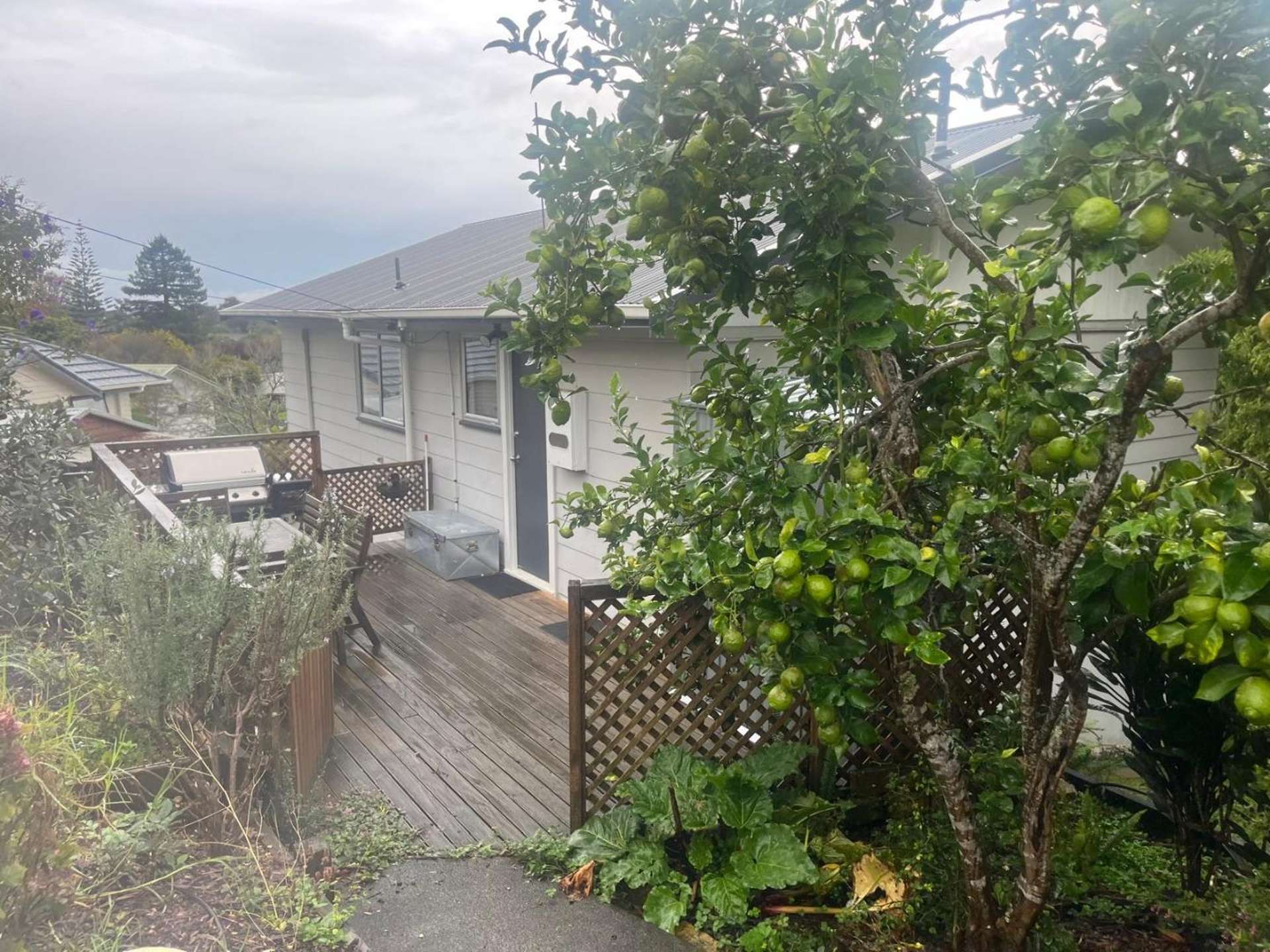 58 Parrs Cross Road Henderson_0