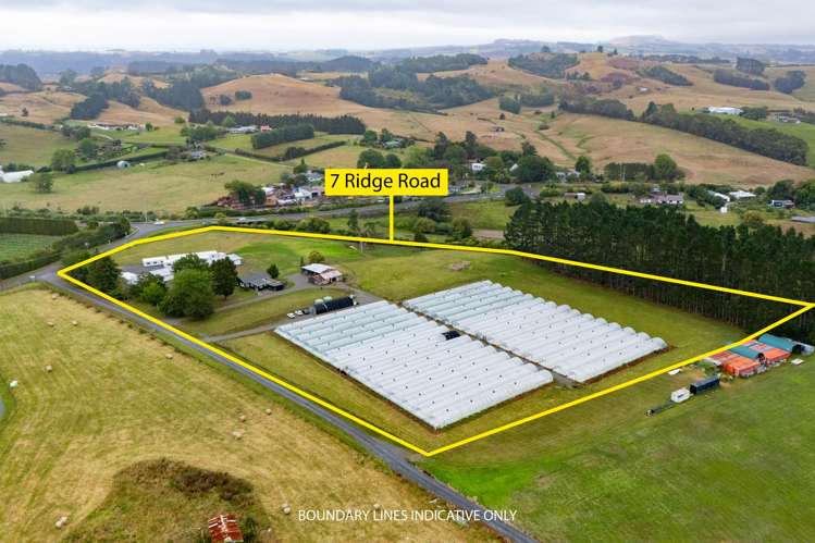 7 Ridge Road Tuakau_4