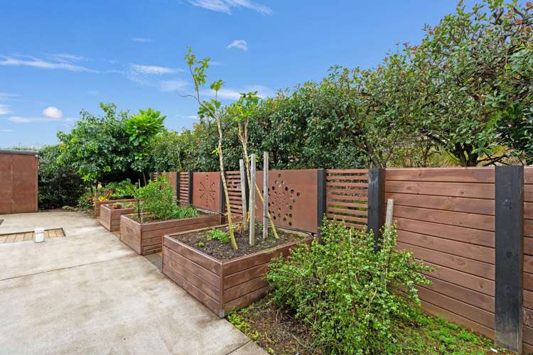 78 Lockington Road Aongatete_20