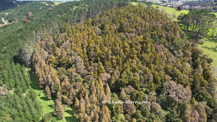 726 Paparoa Station Road Maungaturoto_25