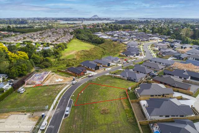 53 Hass Drive Ohauiti_2