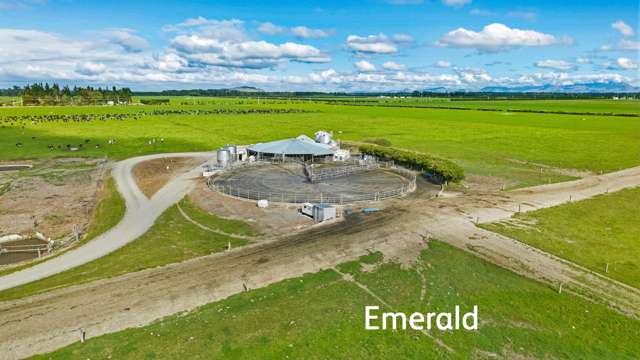 Aurora Dairies Te Pirita_2