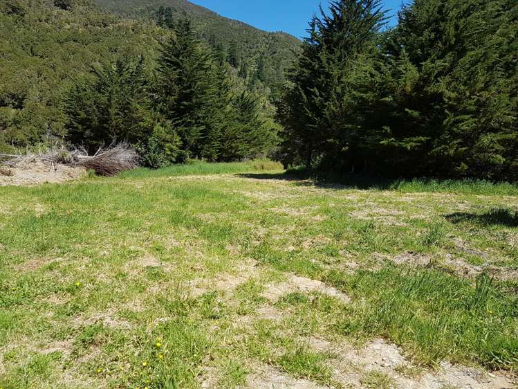 946 Mangatarere Valley Road Carterton_4