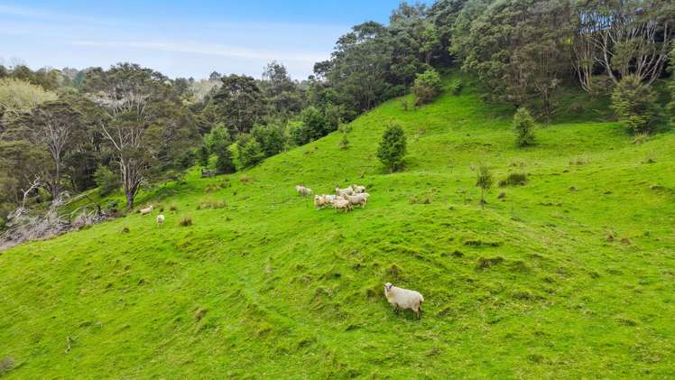 44 Sandstone Road Whitford_25