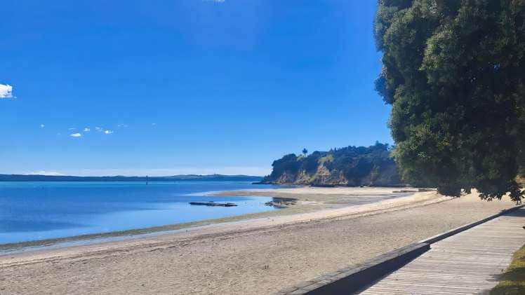 11 Florida Place St Heliers_28