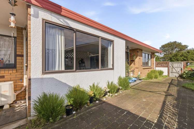 41A Grenada Street Mt Maunganui_10