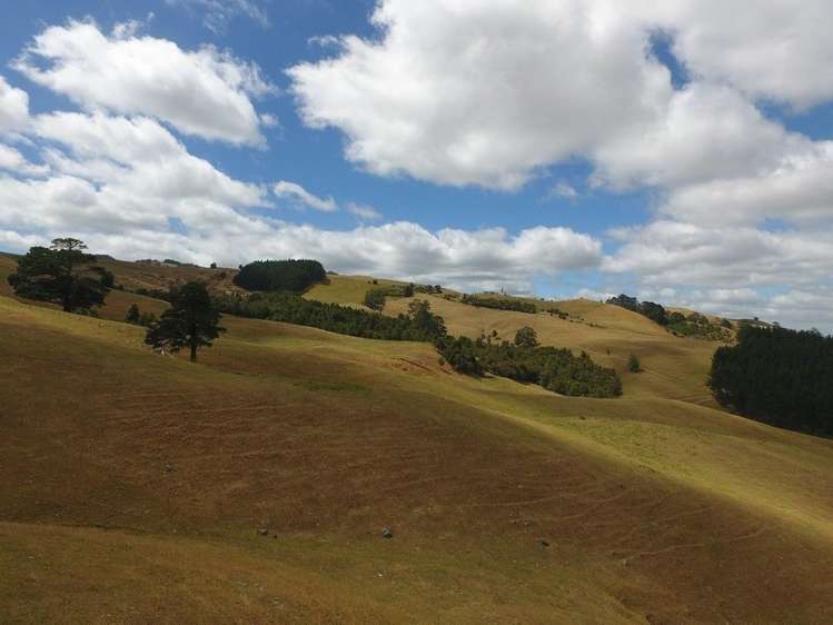 Maratoto Road Hauraki_9