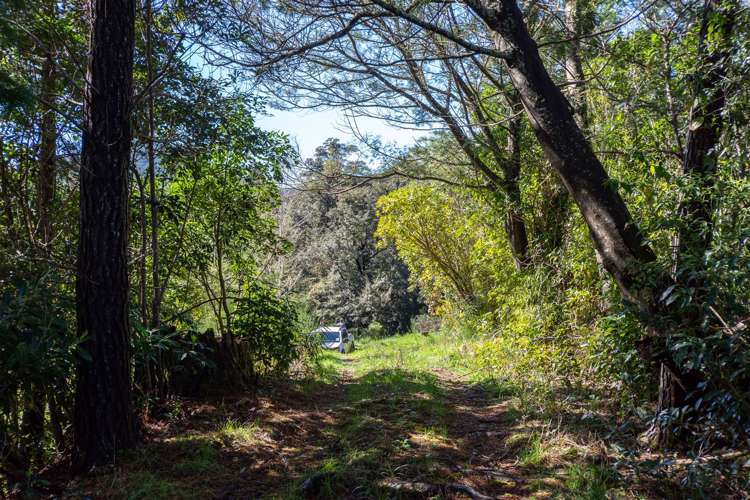 1000 Wakamarina Road Havelock_16