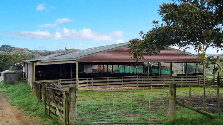 398 Bull Road Paparoa_12