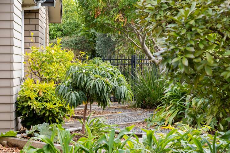 4 Fairway Oaks Drive Waikanae Beach_10