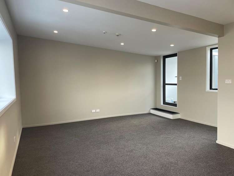 20 Waverley Street South Dunedin_9