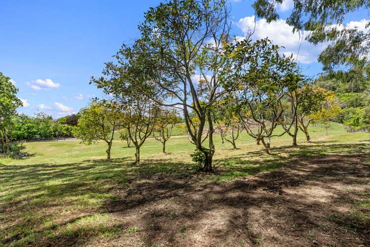 Address withheld Te Puna_15