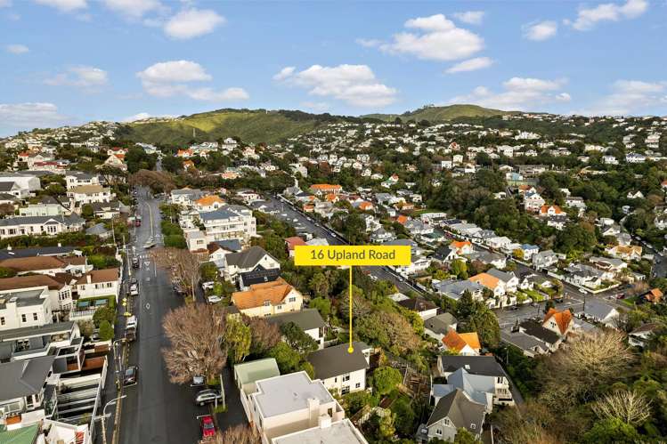 16 Upland Road Kelburn_35