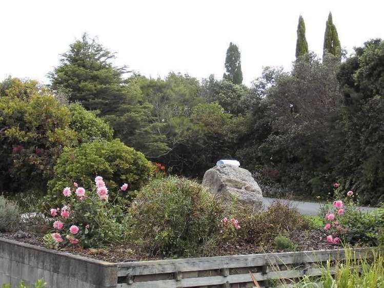 250 Paku Drive Tairua_13