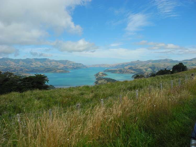 328 Pigeon Bay Road Pigeon Bay_6