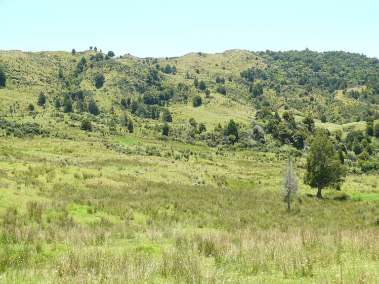 213 Matawherohia Road Kaeo_9