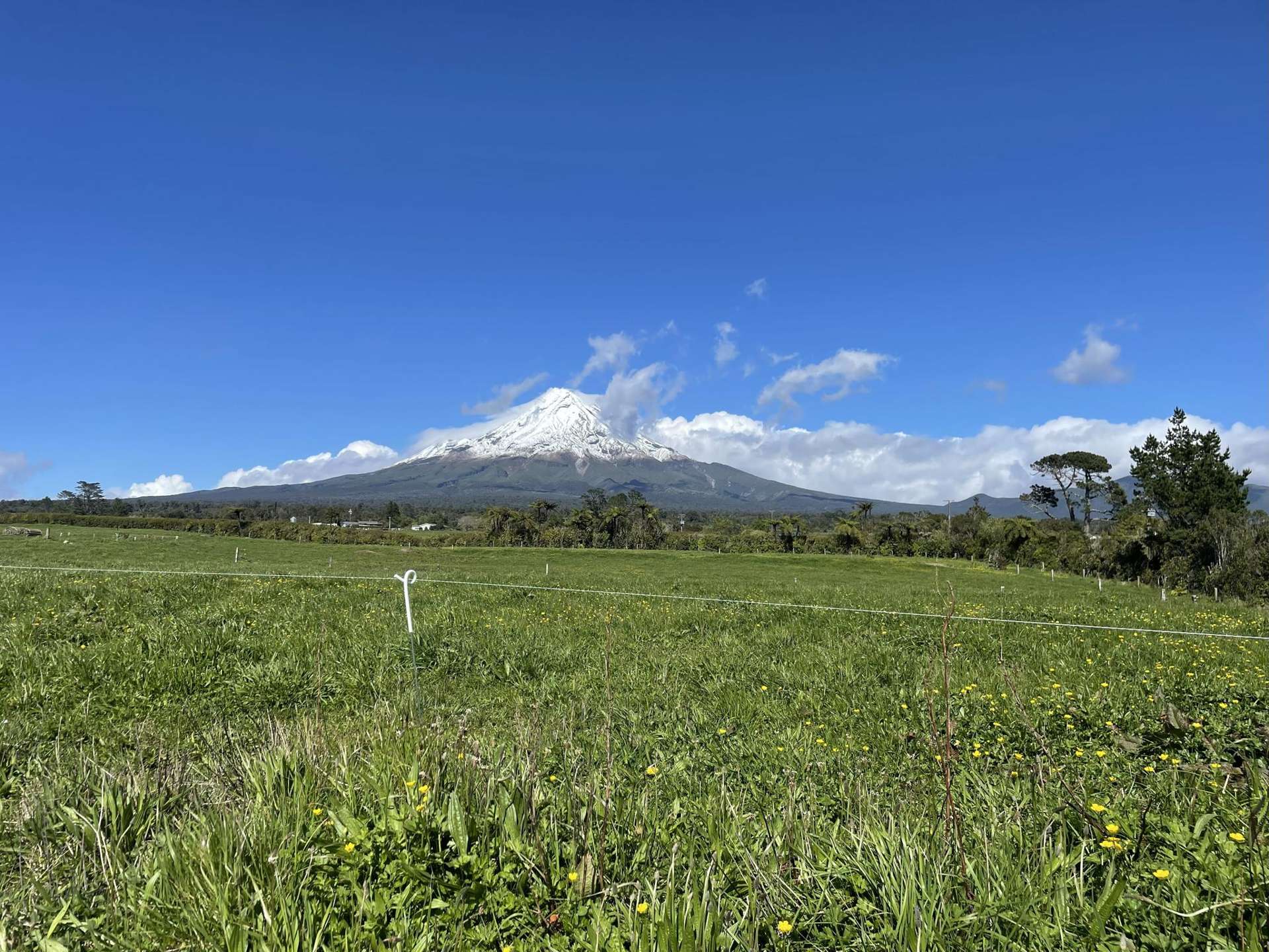 Lot 1,2,3/699 Durham Road Upper Norfolk_0