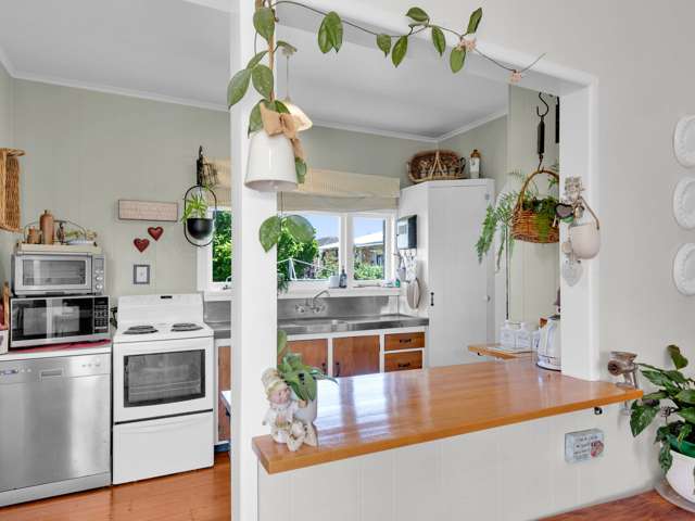 79 Lorne Street Morrinsville_4