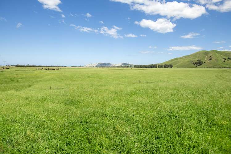 1343 Wharerata Road Muriwai_13