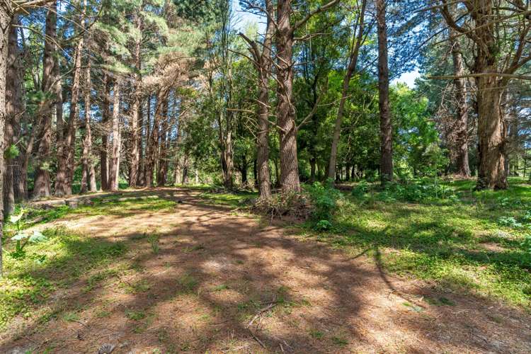 839 Whangaehu Valley Road Whangaehu Valley_33