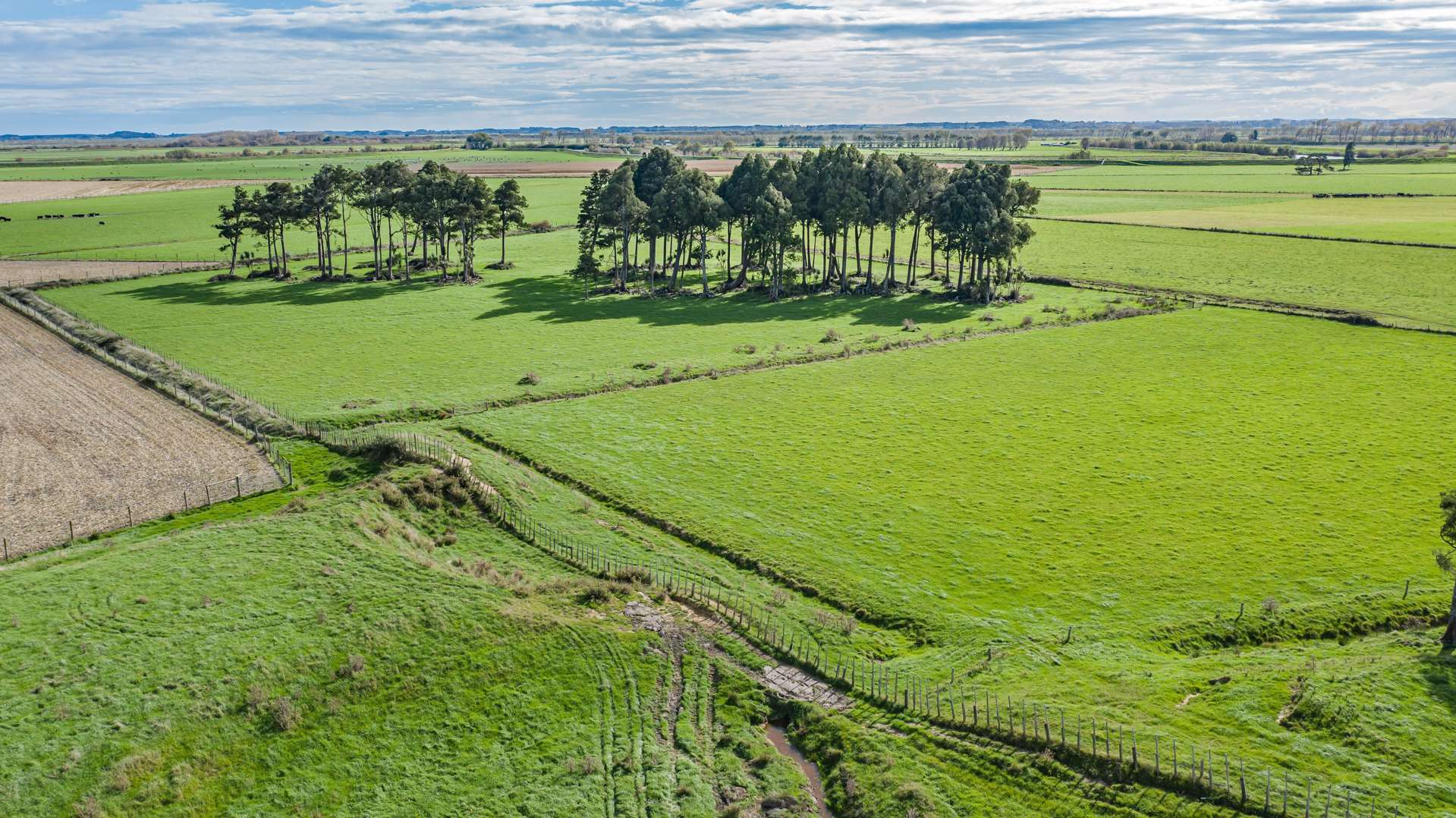 Paiaka Road Koputaroa_0