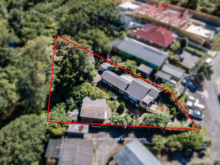 36 Don Buck Road Massey_6
