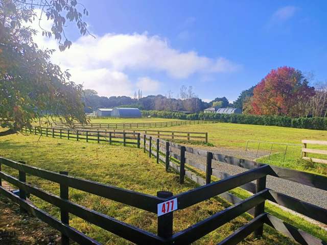 477 Kuranui Road Morrinsville_2