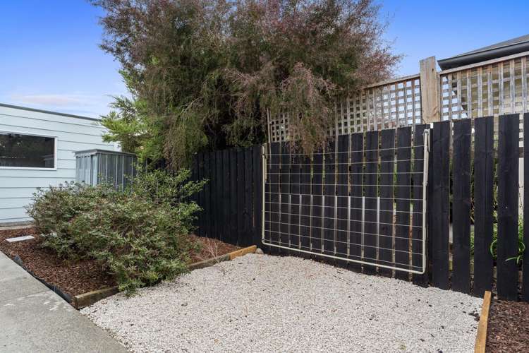 126a Toi Toi Street Toi Toi_20