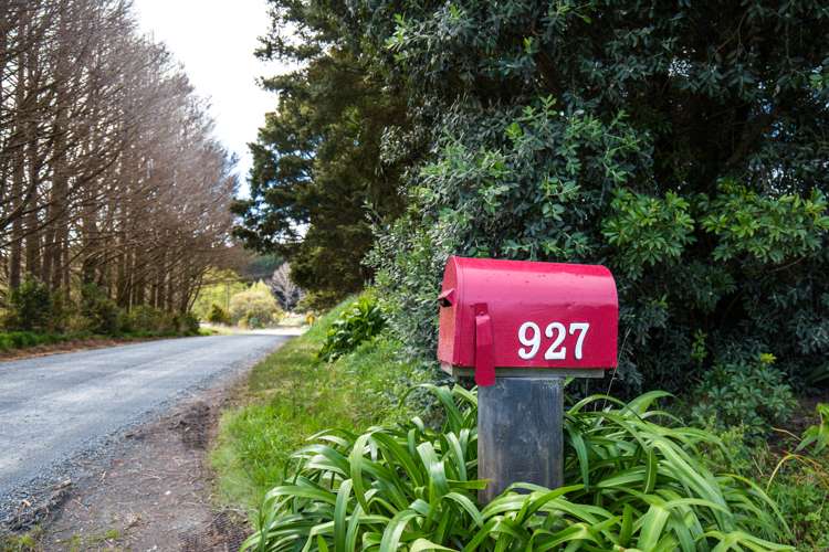 927 Tauhoa Road Kaipara Flats_17