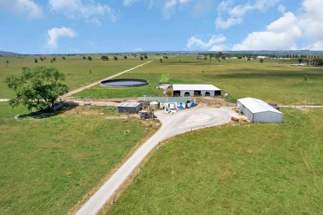 530 Tramline Road Ruawai_4