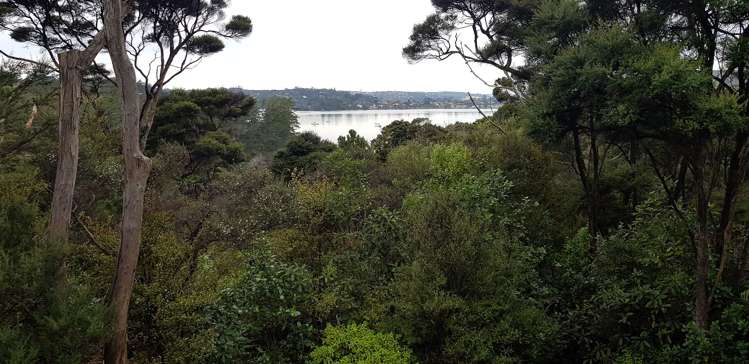 36A Merewhira Road_0