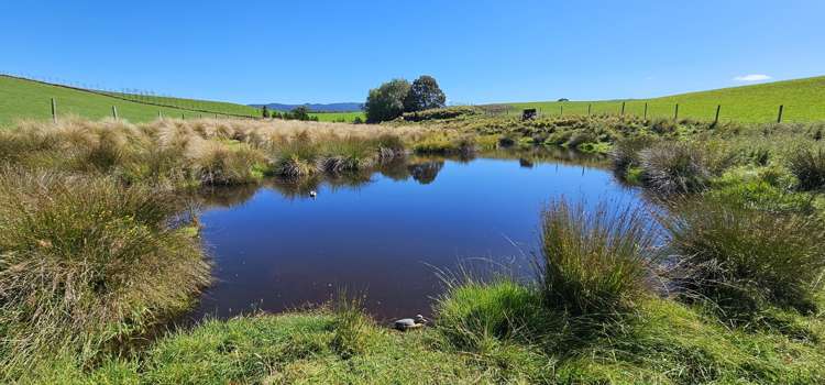 1550 Waimumu Road Te Tipua_15