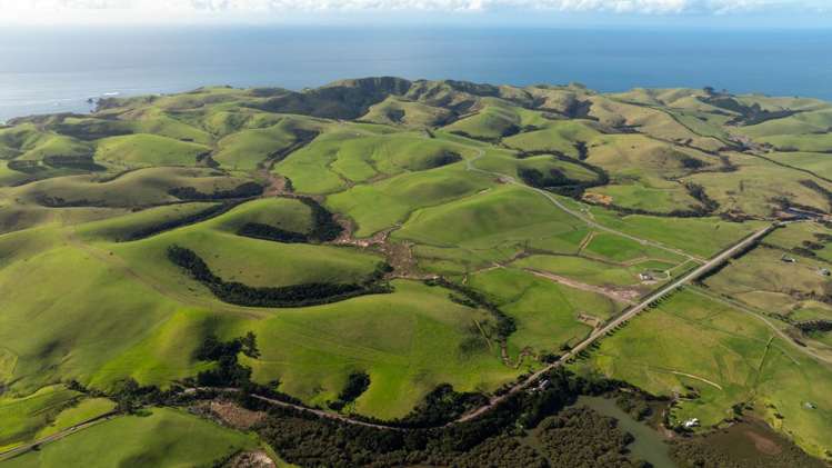 1811 Rangihoua Road_5