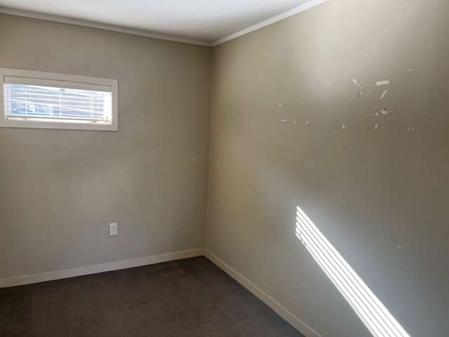 C/38 May Street Mt Maunganui_4