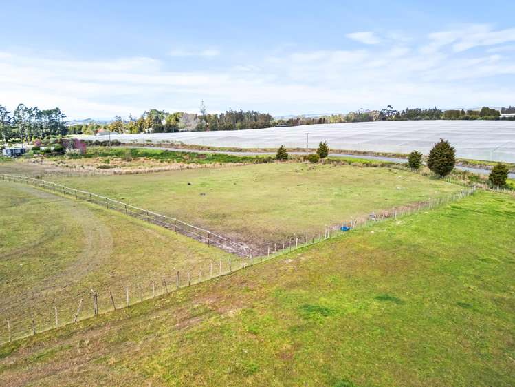 175A Stanners Road Kerikeri_21