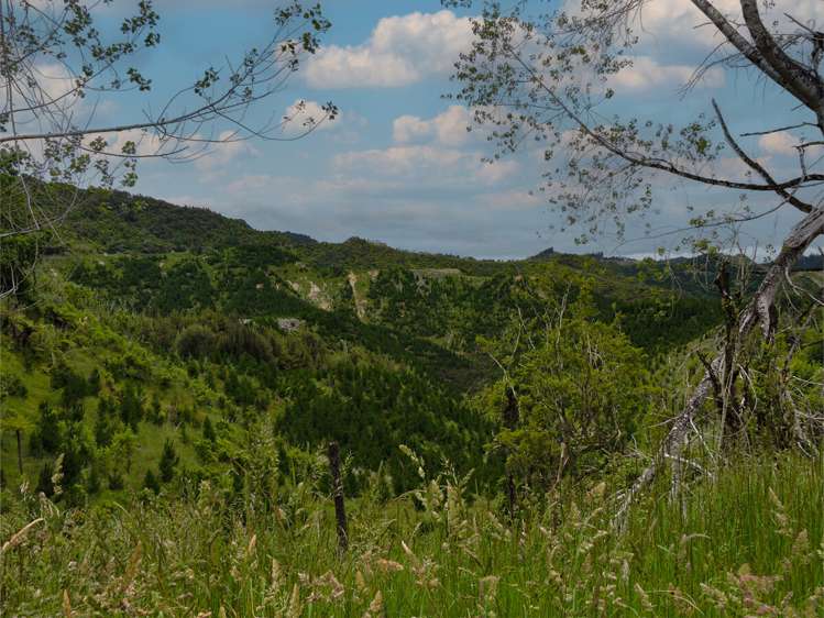 Rangitatau East Road Kai Iwi_7