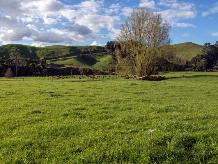 45 Matapan Road Atiamuri_9