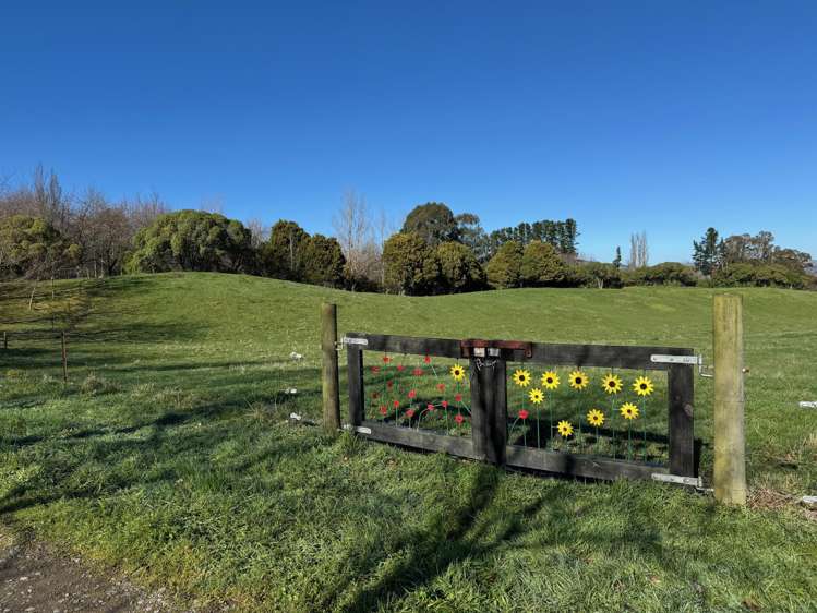 Tuki Tuki Road Haumoana_19