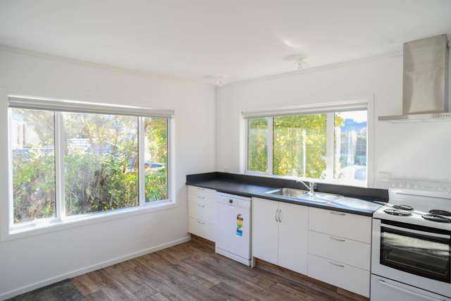 94 Queen Street North Dunedin_1