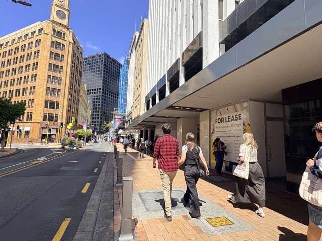 Ground/318 Lambton Quay Wellington Central_2